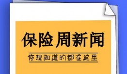 保险新闻最新爆料大全,揭秘行业动态与热点事件