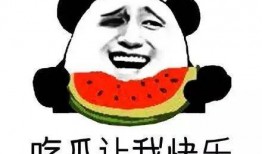 吃瓜群众免费吃瓜全部,全民共享的娱乐狂欢